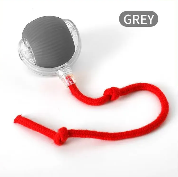 PurrPlay Self-Rolling Interactive Cat Toy Ball